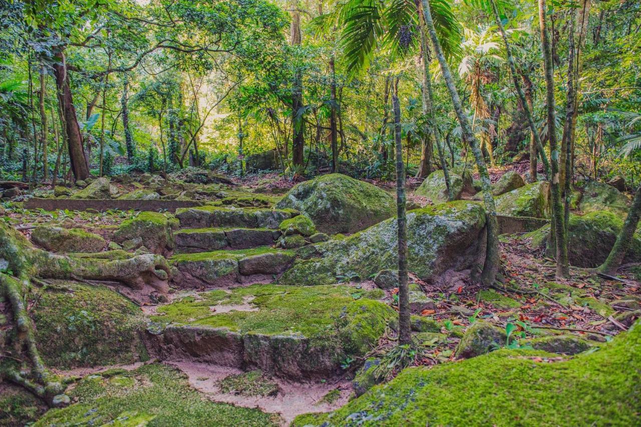 Sitio Serra Orgaos Com Rio Aguas Cristalinas Guapimirim Exteriör bild